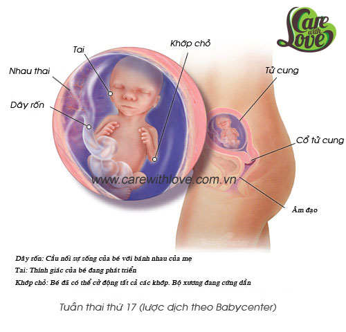 tuan-thai-thu-17